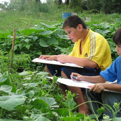 Timeline: PROYECTO DE INTERVENCIÓN COMUNITARIA DE PSICOLOGÍA