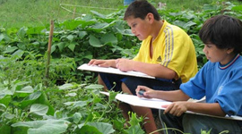Timeline: PROYECTO DE INTERVENCIÓN COMUNITARIA DE PSICOLOGÍA