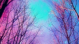 Timeline: la informatica