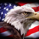 American eagle flag 3x5 17