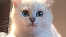 Timeline: historia UCC