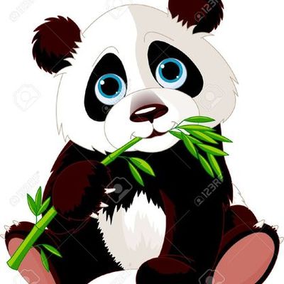 Timeline: sus inicios