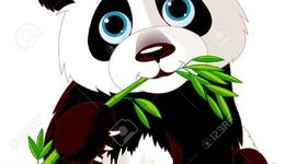 Timeline: sus inicios