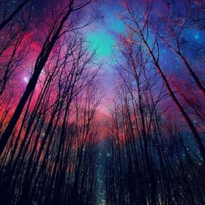 Timeline: La computacion