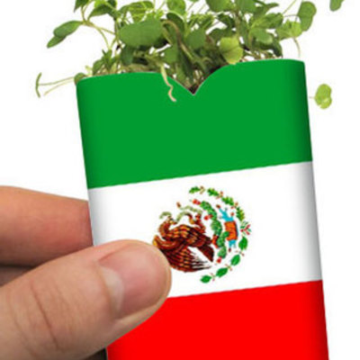 Timeline: Antecedentes del Desarrollo Sustentable a nivel Nacional