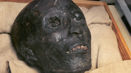 Timeline: king tut death