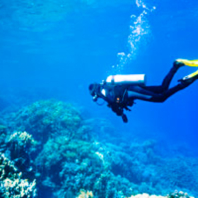 Timeline: historia del buceo