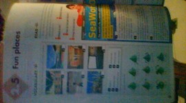 Timeline: Teorías del poblamiento-Causas y consecuencias de la conquista