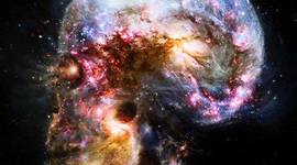 Timeline: Historia de la Memantina