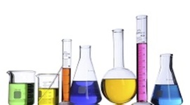 Timeline: Bread Mold