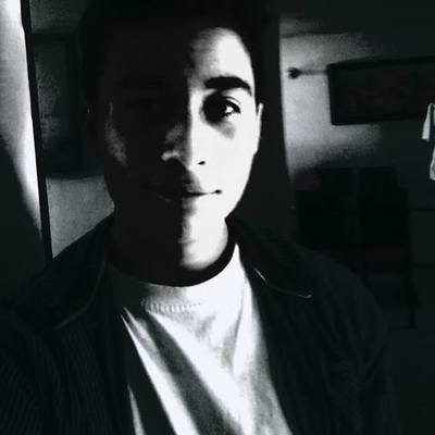 Timeline: la camara fotografica