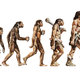 Evolucion