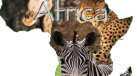 Timeline: Independence of African Countries