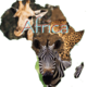 Africa map