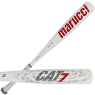 Timeline: Evolution of the Baseball Bat