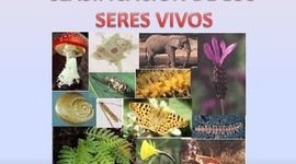 Timeline: Clasificación de los seres vivos