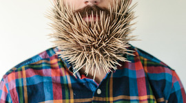 Timeline: EVOLUTION OF THE TOOTHPICK