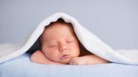 Timeline: Mi linea del tiempo: Hector Javier Perez Martinez