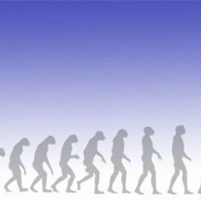 Timeline: DERECHOS HUMANOS