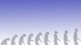 Timeline: DERECHOS HUMANOS