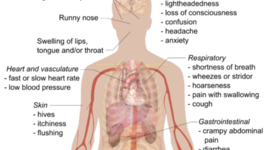 Timeline: Immune System