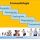 Rol del fonoaudilogo 7 728