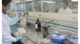 Timeline: Historia de la ingenieria ambiental.