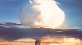 Timeline: pre entrega biologia