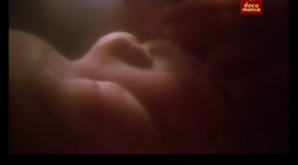 Timeline: ADQUISICION Y DESARROLLO DEL LENGUAJE EN LA INFANCIA