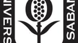 Timeline: Monitos Cyberandantes