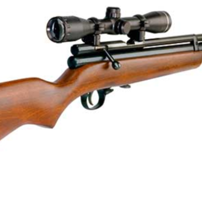 Timeline: Evolution of the gun