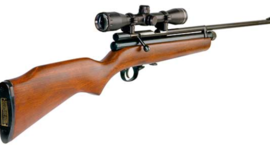 Timeline: Evolution of the gun