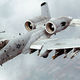 Warthog