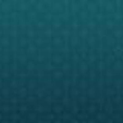 Timeline: “La evolución de la democracia y ciudadanía”