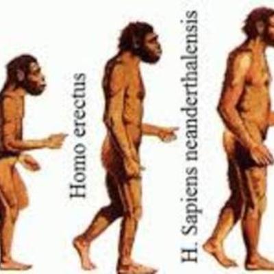 Timeline: La hominización