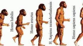 Timeline: La hominización