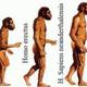La hominización
