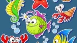 Timeline: planificación de clase