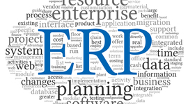 Timeline: Evolución histórica del ERP