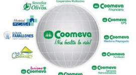 Timeline: Linea de tiempo - Grupo Empresarial Coomeva