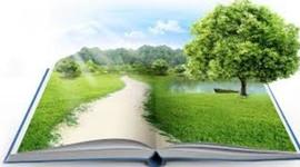 Timeline: EL PROCESO DE LA INGENIERIA AMBIENTAL