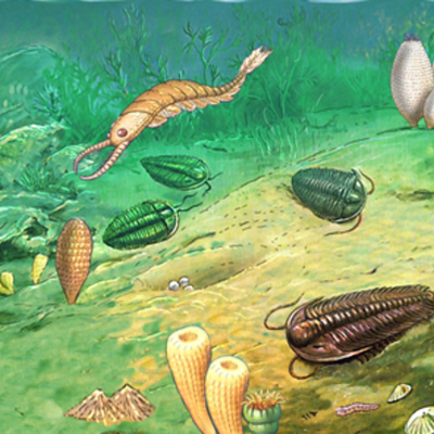 Timeline: PALEOZOIC