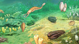 Timeline: PALEOZOIC