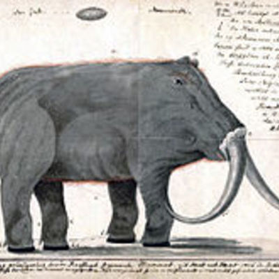 Timeline: The Woolly Mammoth