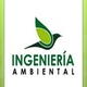 Ingeniera ambientalpptm 1 638