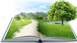 Timeline: historia de la ingeniería ambiental