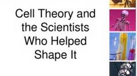 Timeline: Development of the Cell Theory