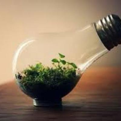 Timeline: Historia de la Ing. Ambiental