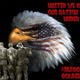 Eagle eye american flag 1