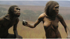 Timeline: TEORÍAS DE LA EOLUCIÓN BIOLÓGOCA